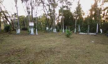 Imagem 3: Vendo excelente terreno com benfeitorias, medindo mais de 600m²!!.favor ler o anuncio