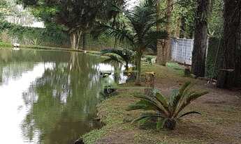 Imagem 5: CHÁCARA COM NASCENTE À VENDA EM SÃO ROQUE SP!