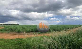 Imagem 7: Fazenda com 2 dormitórios à venda, 2613600 m² por R$ 16.200.000,00 - Zona Rural - Indiara