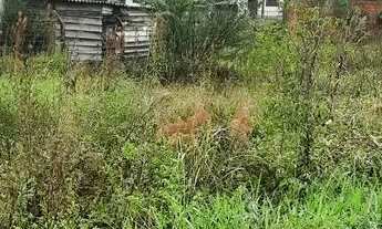 Imagem 6: Vendo lotes em Nova Veneza SC