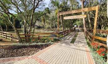 Imagem 4: GRANJA VIANA - SÃO PAULO II