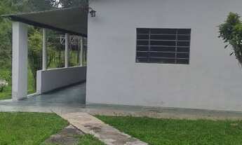 Imagem 4: 4900 mts imperdível motivo da venda idade avançada