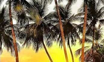 Imagem 6: Cabo Branco - Alugo Apto. Novo - Próximo da Praia - 2 Quartos - Armários Projetados - Óti