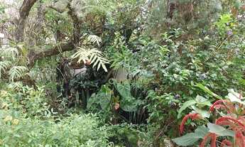 Imagem 5: Casa com 1 dormitório à venda por R$ 1.280.000,00 - São Francisco - Niterói/RJ