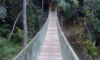 Imagem 4: Bananeiras Lotes Águas da Serra