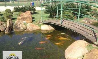 Imagem 5: Terreno à venda, 513 m² por R$ 590.000 - Alphaville III - Ribeirão Preto/SP