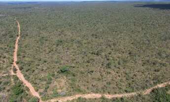 Imagem 5: Fazenda pela metade do preço. 3.388 Hectares muito barata