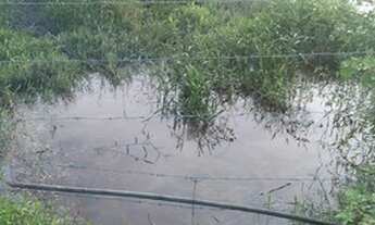 Imagem 7: Cachoeiras de Macacu Rio x Friburgo 18ha