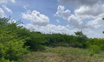 Imagem 5: Lote/Terreno em Extremoz - RN