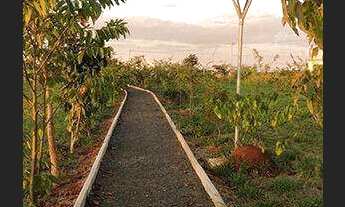 Imagem 6: Casa com 3 dormitórios à venda, 138 m² por R$ 880.000,00 - Vila Monte Alegre IV - Paulínia