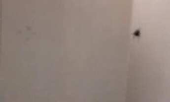 Imagem 4: Casa no conjunto Luiz Alves 1