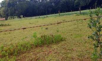 Imagem 6: Terreno em Santa Rosa