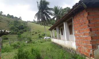 Imagem 6: Vendo maravilhoso sítio em Jaguaripe