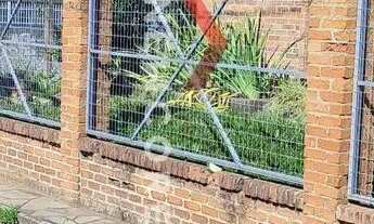 Imagem 3: Casa em Rua das Guavirovas - São Virgílio - Caxias do Sul/RS