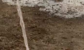 Imagem 6: Vendo Minichácaras Samambaia Norte