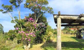 Imagem 3: Sítio próximo ao centro da cidade