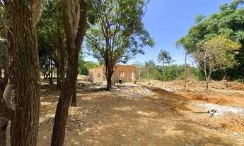 Imagem 6: Fazenda 20 Alqueires - Lavoura!