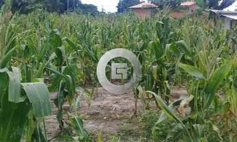 Imagem 5: Fazenda/Sítio/Chácara em Patis, no bairro Zona Rural, à venda