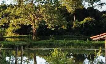 Imagem 4: Fazenda em Pontalina