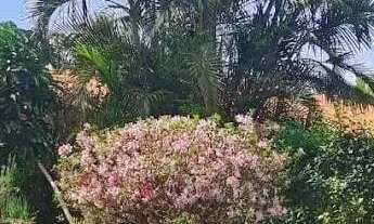 Imagem 2: Casa com 5 quartos para locação em Atibaia São Paulo