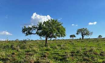 Imagem 3: Chácaras de 1.000m² com acesso a lagoa, R$ 49.900,00