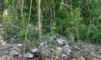 Imagem 3: Sítio 1000m2 RS 020- Taquara/rs