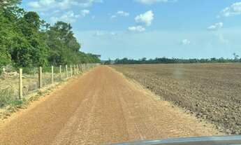 Imagem 2: Fazenda arrenda outra vende 15.900hec planta 1.800hec hoje