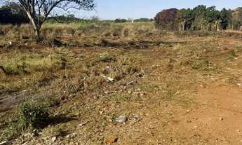 Imagem: Lotes no finsocial