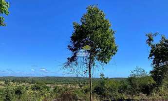 Imagem 4: Terreno Residencial para Venda Vale Quem Tem, Teresina