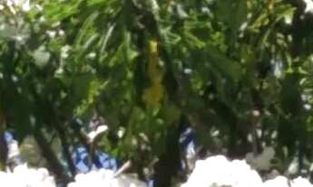 Imagem 6: Alugo quarto e sala em Vida Nova