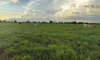 Imagem 2: Excelente Fazenda a Venda - Aruanã - GO