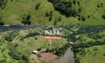 Imagem 4: Fazenda 36 Alqueires (174,24 Hectares) Catalao - GO