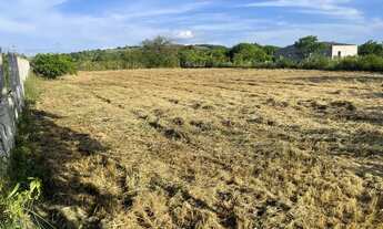 Imagem: Meia tarefa próximo ao retiro