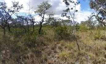 Imagem 3: Fazenda no Cerrado com Alto Potencial Produtivo Documentação em Dia