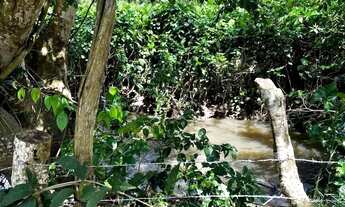 Imagem 6: Chácara dos Sonhos Conforto, Lazer e Natureza em um só lugar!