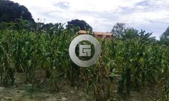 Imagem: Fazenda/Sítio/Chácara em Patis, no bairro