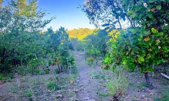 Imagem 2: Vendo Rancho-Barragem do Paranã