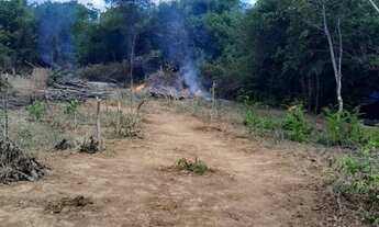 Imagem 2: Vendo sitio em comunidade nova Dolabela Bocaiuva