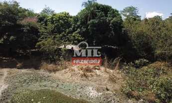 Imagem 3: Fazenda 45 alqueires (217,8 hectares) Araguapaz - Go