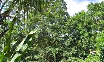 Imagem 4: Freguesia. Terreno com 2.000m². Diversas Possibilidades. Rio de Janeiro-RJ