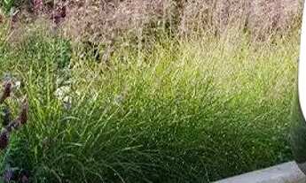 Imagem 4: LANÇAMENTO Portal do Sol Noronha