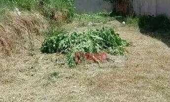 Imagem 2: Terreno à venda, 125 m² por R$ 135.000 - Parque São Bento - Sorocaba/SP