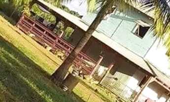 Imagem: Vendo uma fazendo na estrada de novo airao