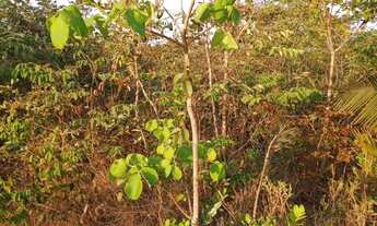 Imagem 5: Oportunidade!!! Chácara de 2500mts por apenas 18,500