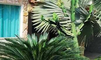 Imagem: Excelente casal no bairro fonte grande junto