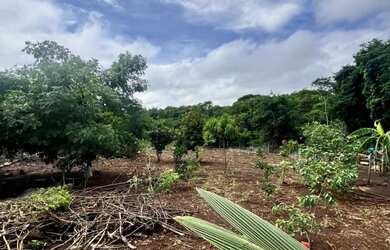 Imagem 6: Chácara Chácara com venda por R$100.000