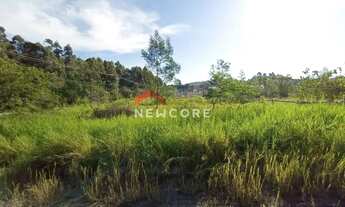 Imagem 5: Lote em Rua dos Plátanos - Rosas - Estância Velha/RS