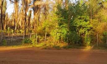 Imagem 5: Terreno para sitio