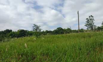 Imagem 5: Lote em Rodovia Professor Alfredo Rolim de Moura - Cocuera - Mogi das Cruzes/SP