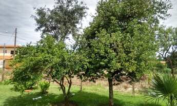 Imagem 4: Chácara para venda possui 99 metros quadrados com 3 quartos